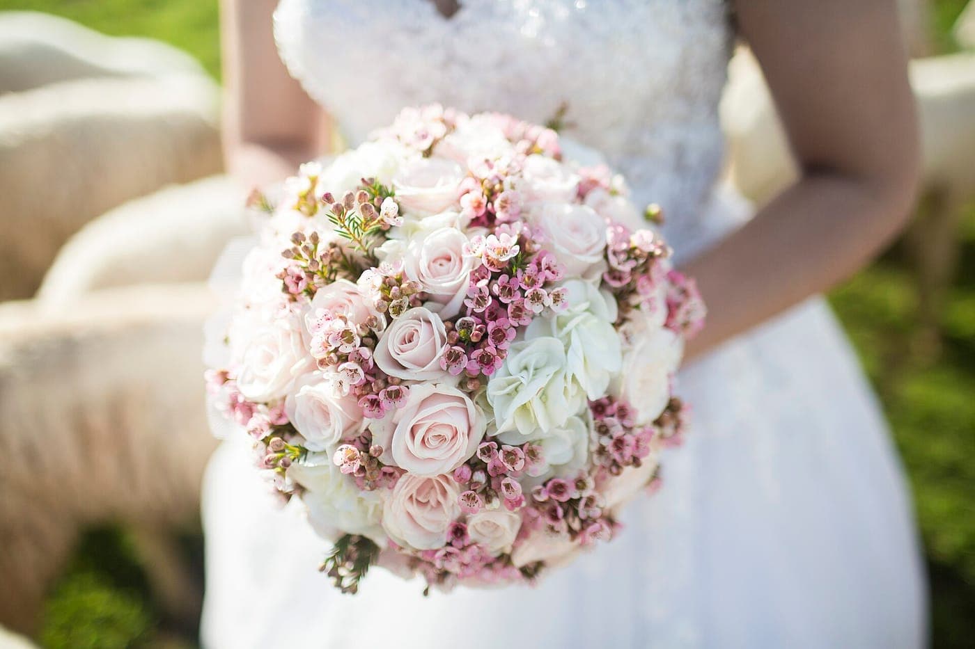 A round bouquet of blush roses and waxflower held against a white gown.