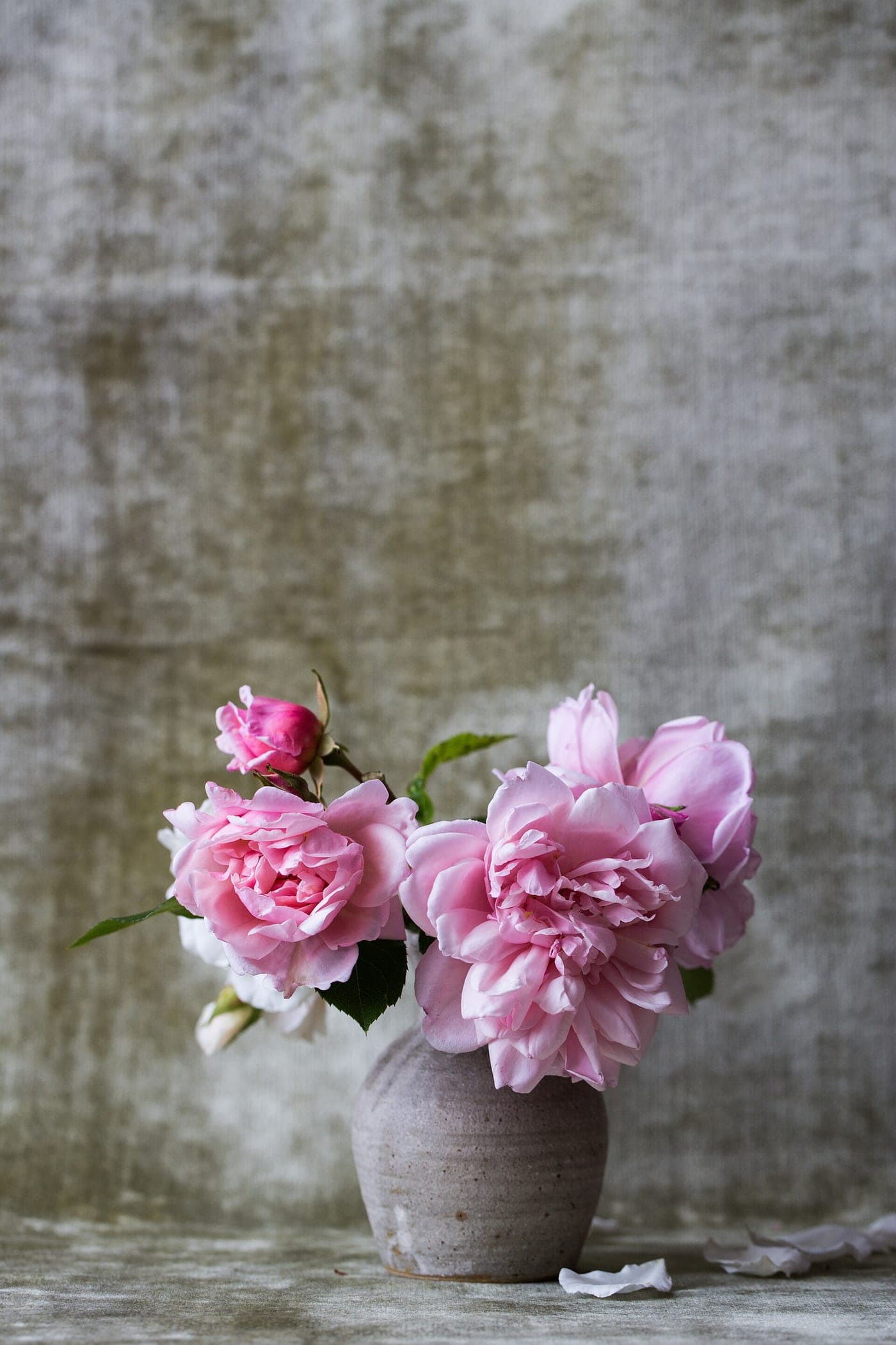 Pale pink garden roses in a stoneware vase against a textured grey backdrop.
